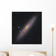 Sculptor Galaxy Ngc 253 Wall Decal