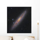 Sculptor Galaxy Ngc 253 Wall Decal