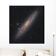 Sculptor Galaxy Ngc 253 Wall Decal