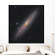 Sculptor Galaxy Ngc 253 Wall Decal
