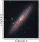 Sculptor Galaxy Ngc 253 Wall Decal