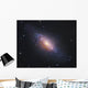Ngc 3521 Spiral Galaxy Wall Decal