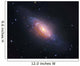 Ngc 3521 Spiral Galaxy Wall Decal