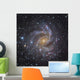 Ngc 6946 Spiral Galaxy Wall Decal