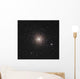 M15 Globular Cluster Pegasus Wall Decal