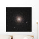 M15 Globular Cluster Pegasus Wall Decal