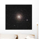 M15 Globular Cluster Pegasus Wall Decal