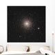 M15 Globular Cluster Pegasus Wall Decal