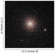 M15 Globular Cluster Pegasus Wall Decal