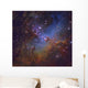 M16 Eagle Nebula Serpens Wall Decal