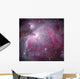 M42 Orion Nebula Wall Decal