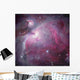 M42 Orion Nebula Wall Decal