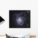 M101 Pinwheel Galaxy Ursa Wall Decal