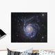 M101 Pinwheel Galaxy Ursa Wall Decal