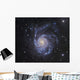 M101 Pinwheel Galaxy Ursa Wall Decal