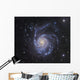 M101 Pinwheel Galaxy Ursa Wall Decal