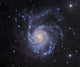 M101 Pinwheel Galaxy Ursa Wall Decal