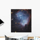 Ngc 602 Starforming Complex Wall Decal