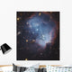 Ngc 602 Starforming Complex Wall Decal