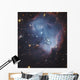 Ngc 602 Starforming Complex Wall Decal