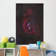 Orion Constellation Wall Decal