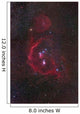 Orion Constellation Wall Decal