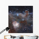 Star-forming Region Ngc 2024 Wall Decal