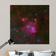 Constellation Centaurus Wall Decal