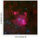 Constellation Centaurus Wall Decal