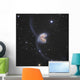 Antennae Galaxies Constellation Corvus Wall Decal