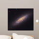Ngc 6503 Spiral Galaxy Wall Decal