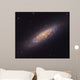 Ngc 6503 Spiral Galaxy Wall Decal