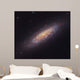 Ngc 6503 Spiral Galaxy Wall Decal