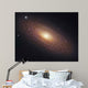 Ngc 2841 Spiral Galaxy Wall Decal