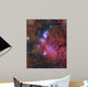 Ngc 6559 Emission and Wall Decal