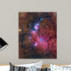 Ngc 6559 Emission and Wall Decal