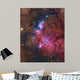 Ngc 6559 Emission and Wall Decal