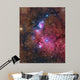 Ngc 6559 Emission and Wall Decal