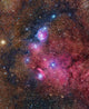 Ngc 6559 Emission and Wall Decal