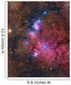 Ngc 6559 Emission and Wall Decal