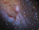 Southwest Spiral Arm Messier Wall Decal