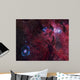 Emission Nebula Ngc 6188 Wall Decal