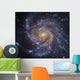 Messier 101 Pinwheel Galaxy Wall Decal
