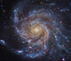 Messier 101 Pinwheel Galaxy Wall Decal