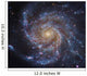 Messier 101 Pinwheel Galaxy Wall Decal