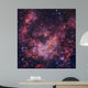 Westerlund 2 Star Cluster Wall Decal
