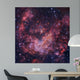 Westerlund 2 Star Cluster Wall Decal