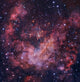 Westerlund 2 Star Cluster Wall Decal