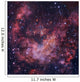 Westerlund 2 Star Cluster Wall Decal