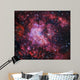 Westerlund 2 Gum 29 Wall Decal